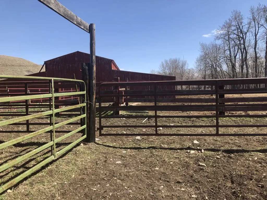 470 Duck Lake Road Browning MT 59417