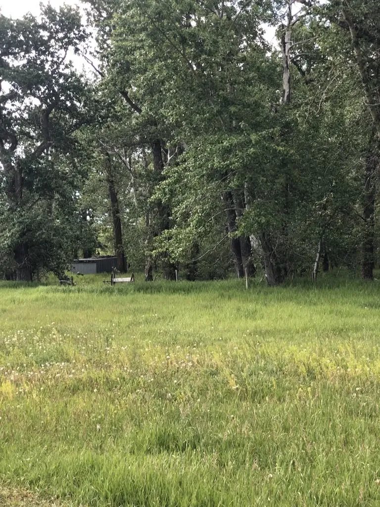 470 Duck Lake Road Browning MT 59417