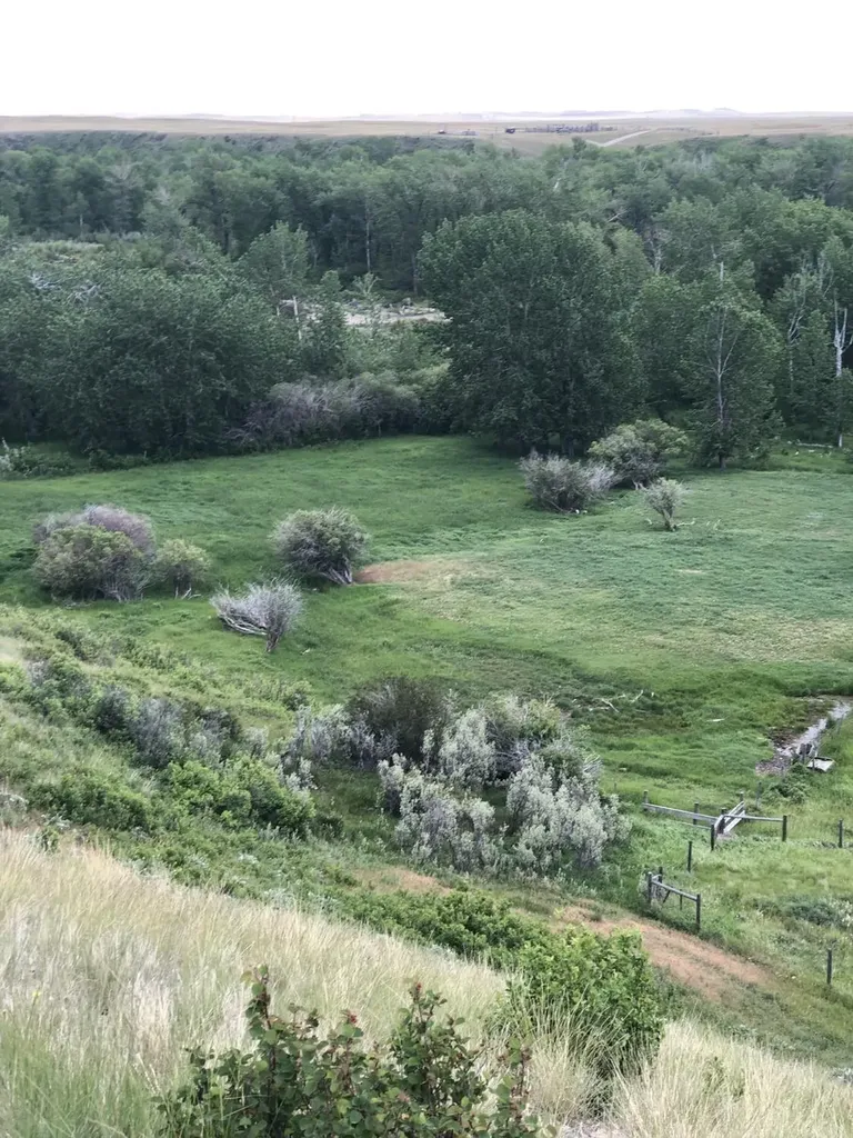 470 Duck Lake Road Browning MT 59417