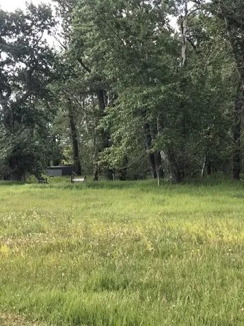 470 Duck Lake Road Browning MT 59417