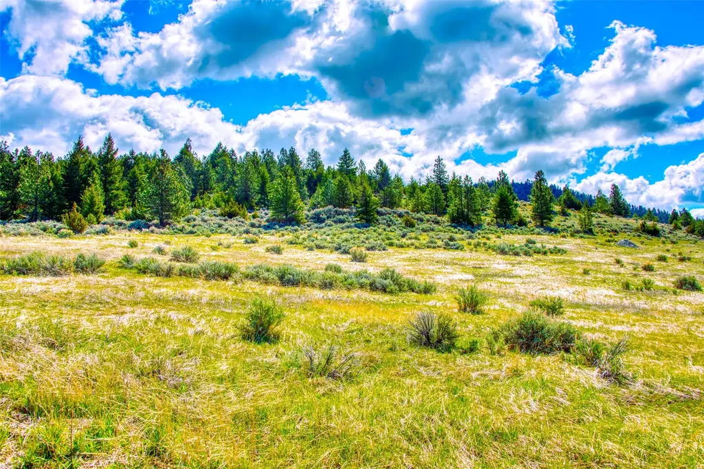 2136 Blue Sage Trail Corvallis MT 59828