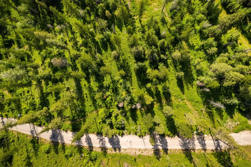 453 Chief Cliff Trail Bigfork MT 59911