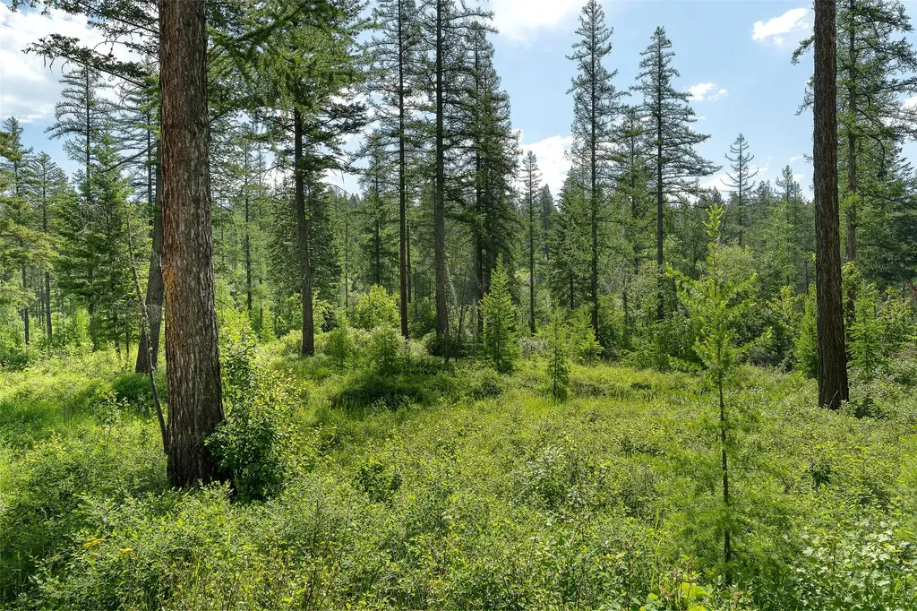453 Chief Cliff Trail Bigfork MT 59911