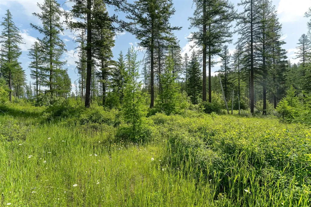453 Chief Cliff Trail Bigfork MT 59911