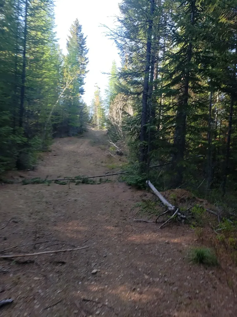 Tract 2 Nine Mile Road Huson MT 59846