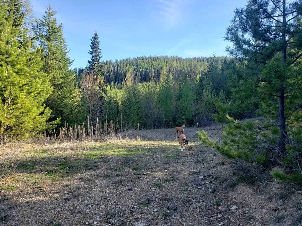 Tract 2 Nine Mile Road Huson MT 59846