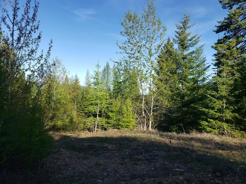 Tract 2 Nine Mile Road Huson MT 59846