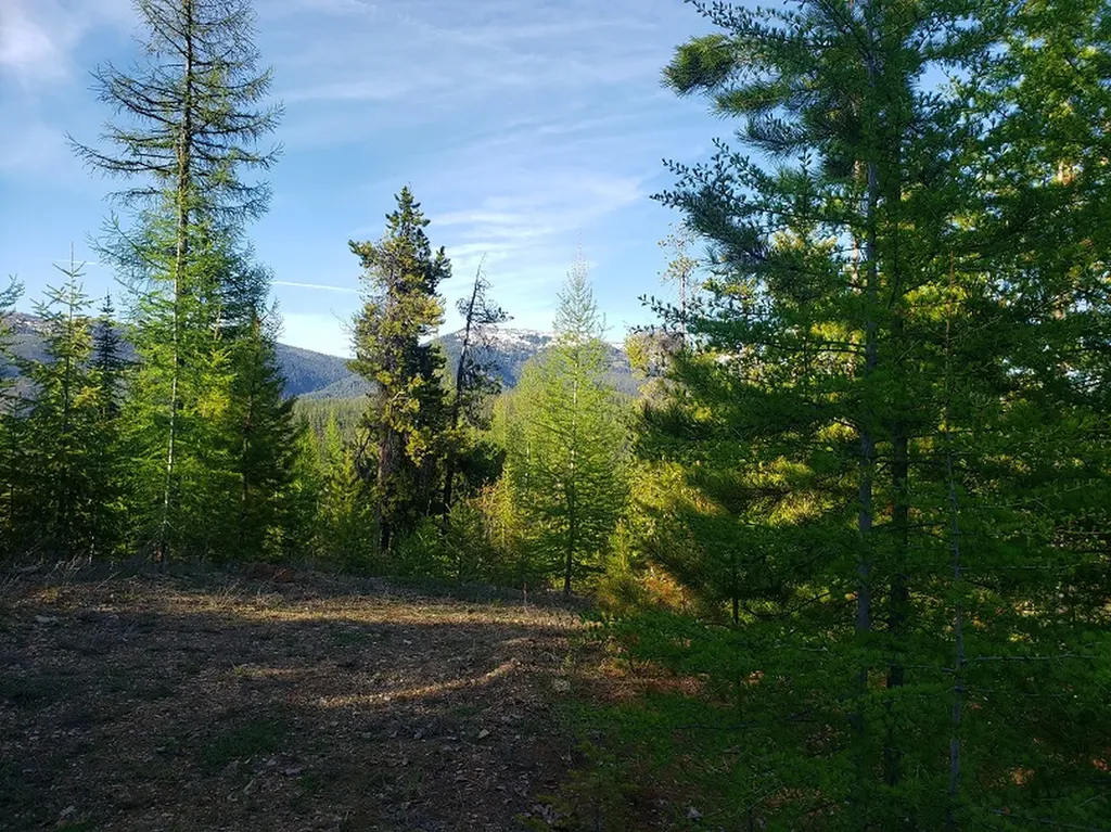 Tract 2 Nine Mile Road Huson MT 59846