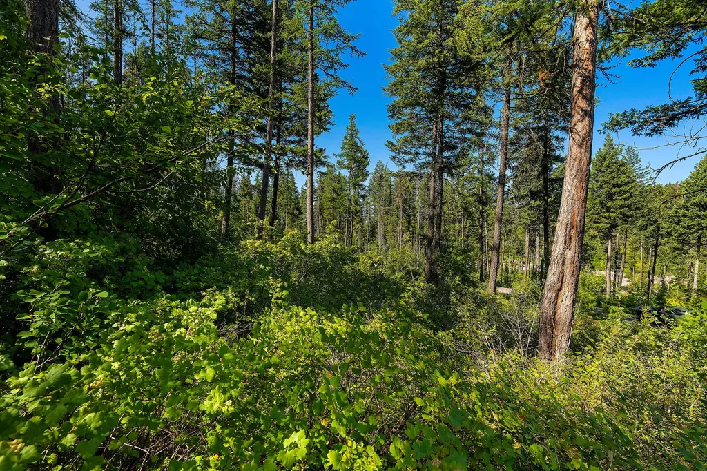 631 Saddlehorn Trail Bigfork MT 59911