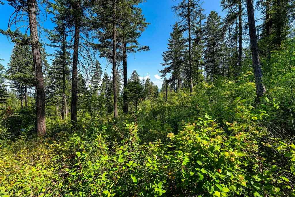 631 Saddlehorn Trail Bigfork MT 59911