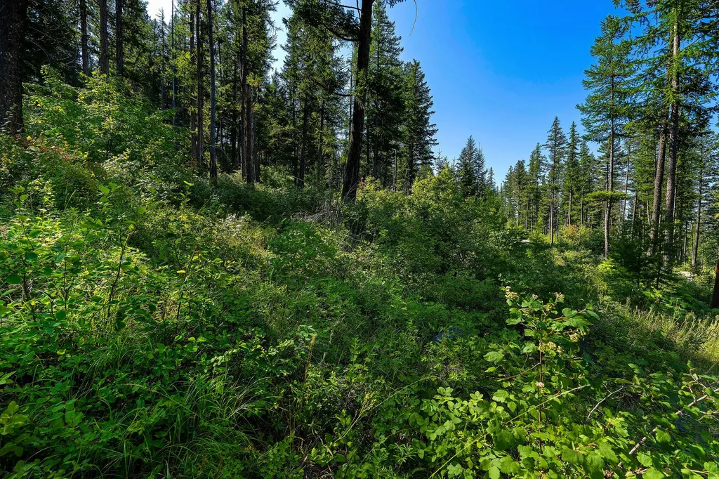 631 Saddlehorn Trail Bigfork MT 59911