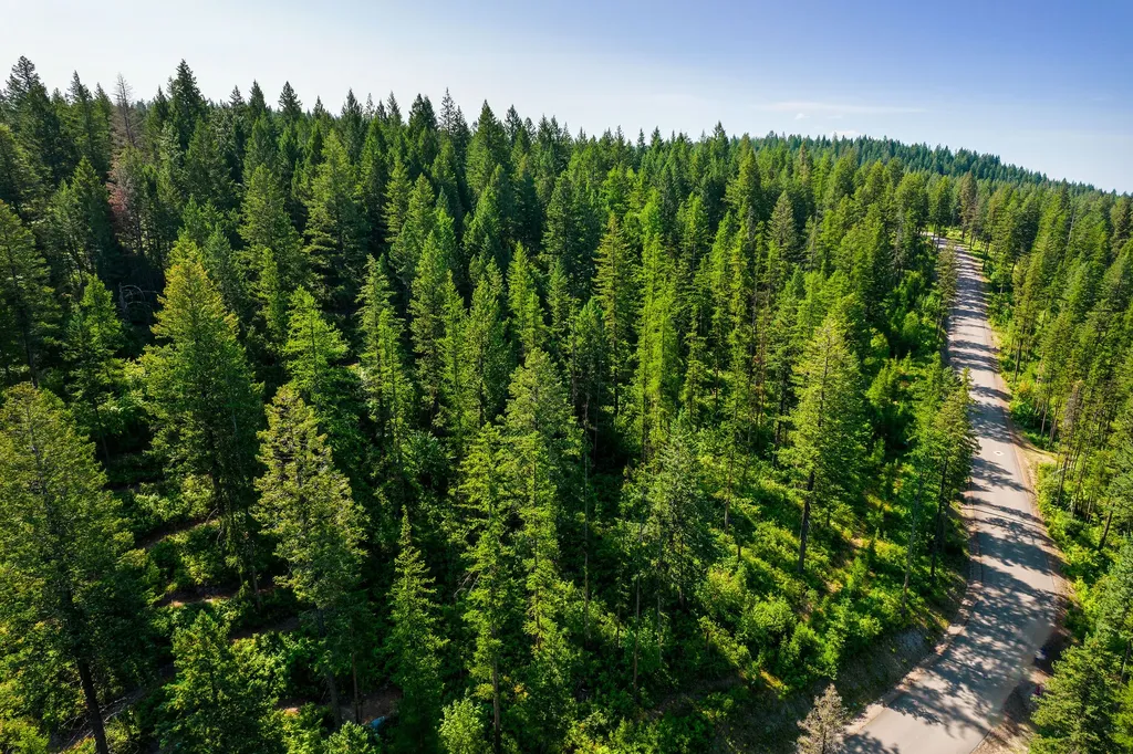 631 Saddlehorn Trail Bigfork MT 59911