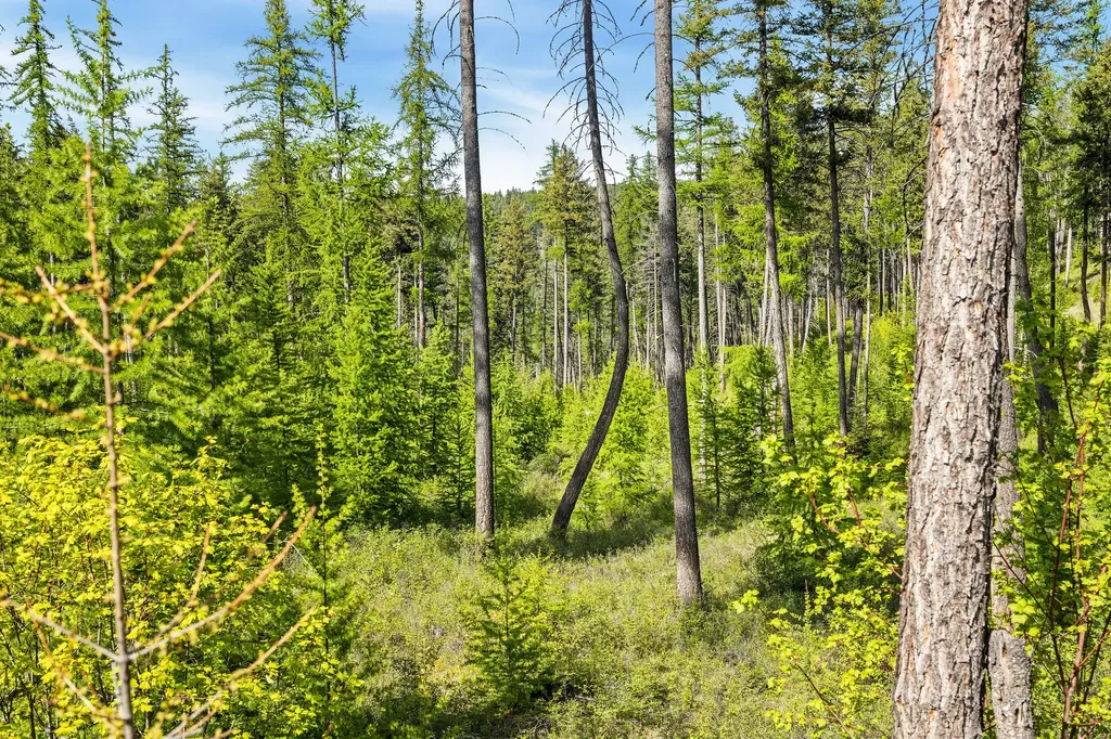 210 Trading Post Trail Bigfork MT 59911