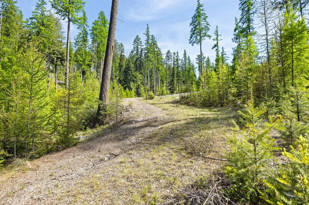 210 Trading Post Trail Bigfork MT 59911