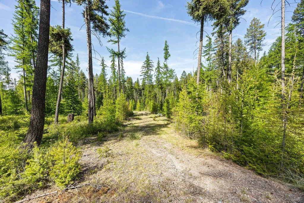 210 Trading Post Trail Bigfork MT 59911
