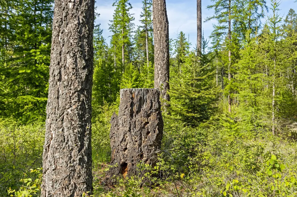 210 Trading Post Trail Bigfork MT 59911