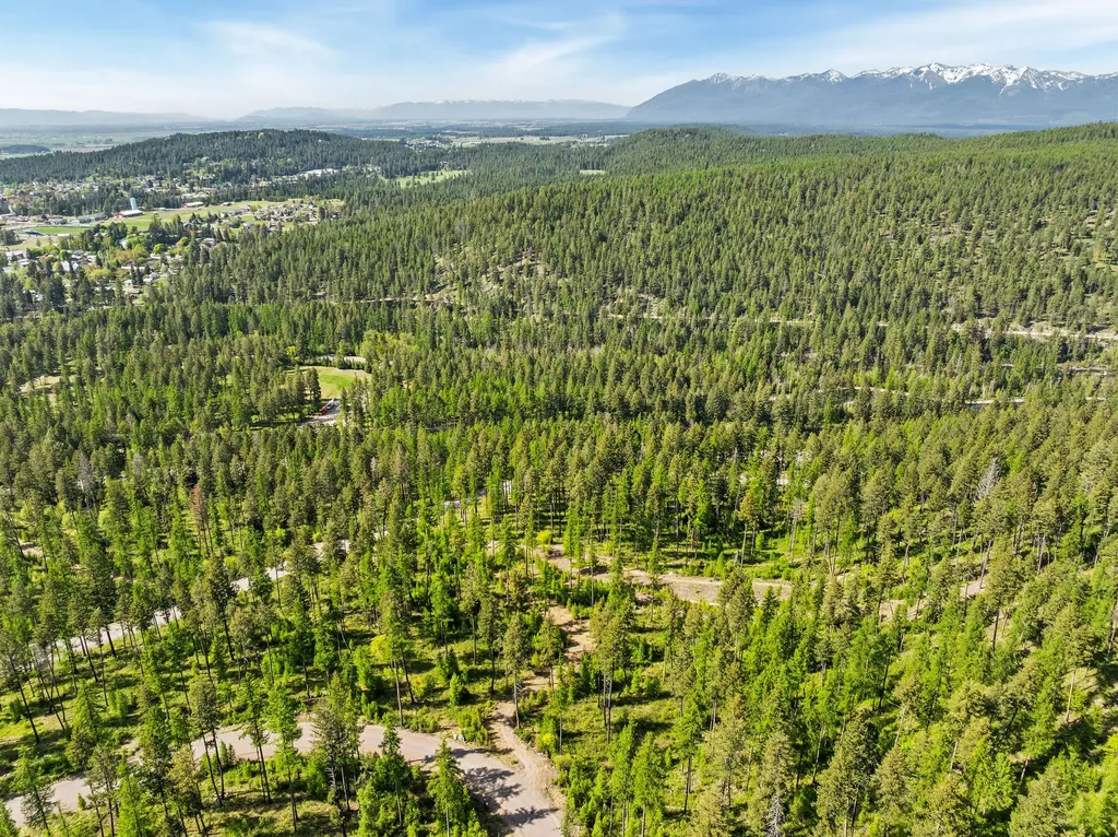 210 Trading Post Trail Bigfork MT 59911