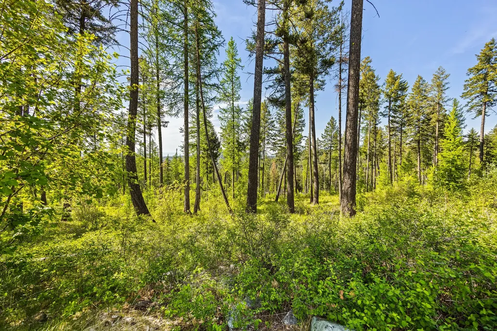 162 Trading Post Trail Bigfork MT 59911