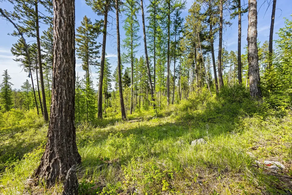 162 Trading Post Trail Bigfork MT 59911