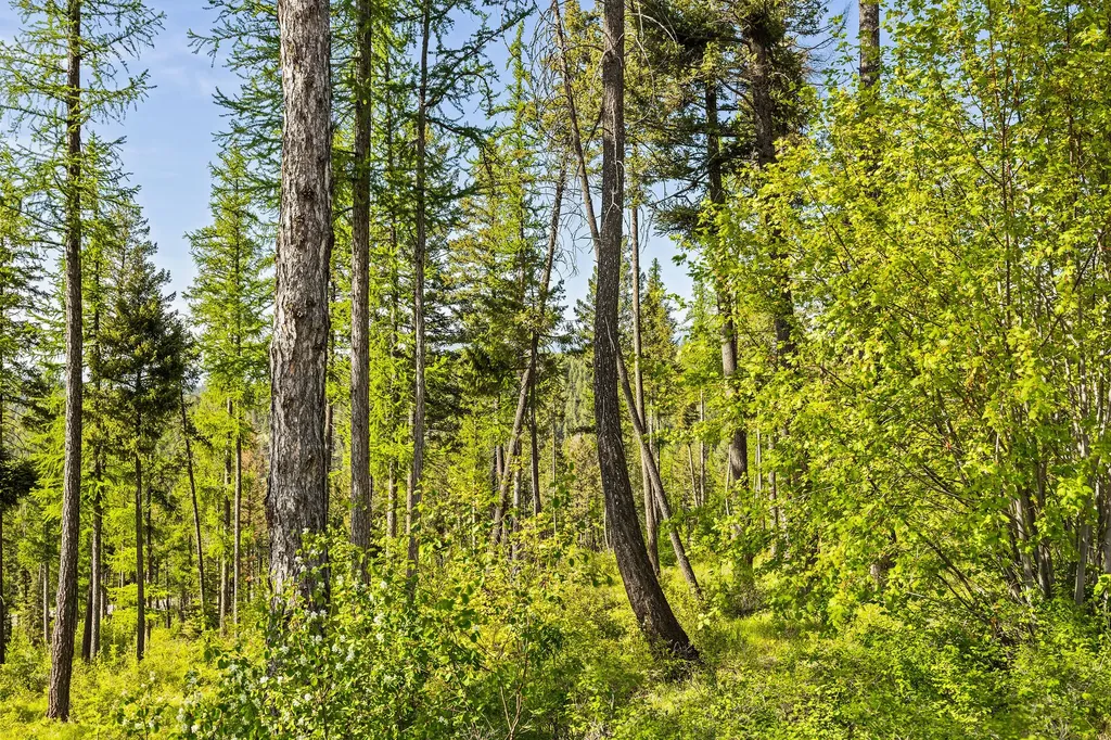 162 Trading Post Trail Bigfork MT 59911