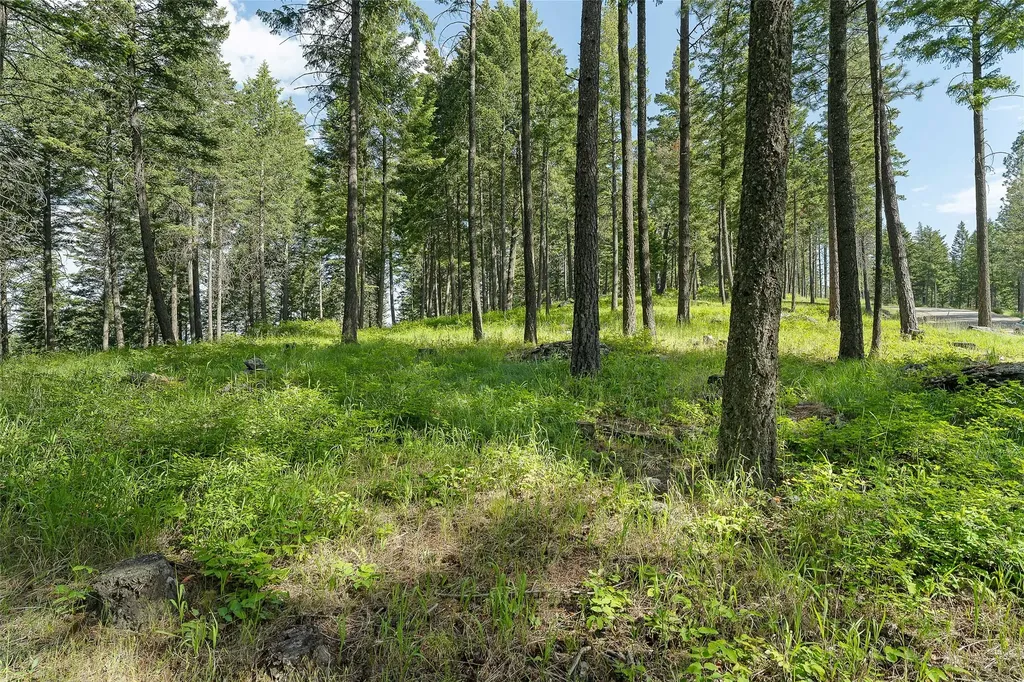 381 Chief Cliff Trail Bigfork MT 59911