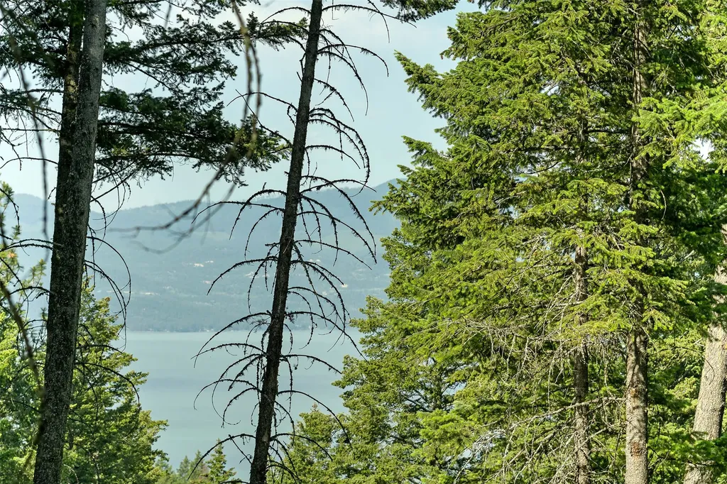 381 Chief Cliff Trail Bigfork MT 59911