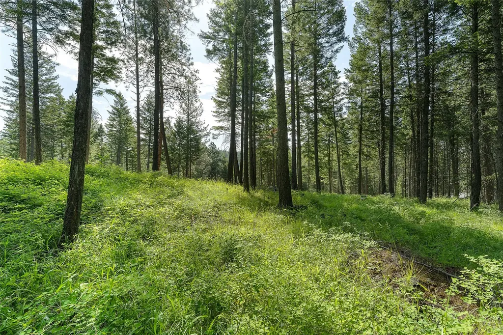 381 Chief Cliff Trail Bigfork MT 59911