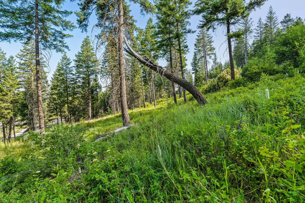 24 Bridle Court Bigfork MT 59911