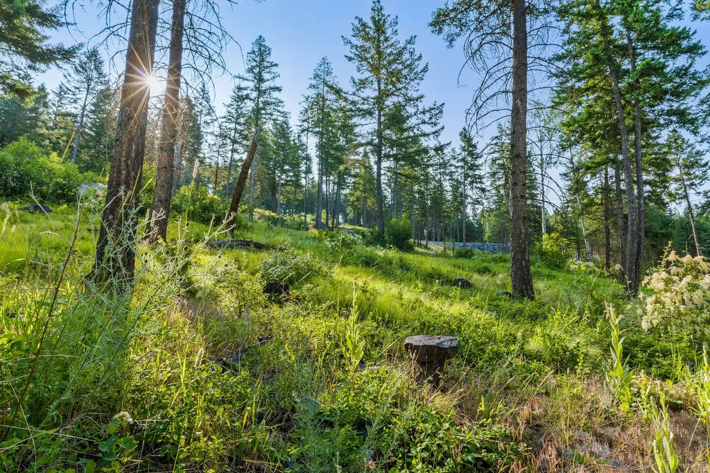 24 Bridle Court Bigfork MT 59911