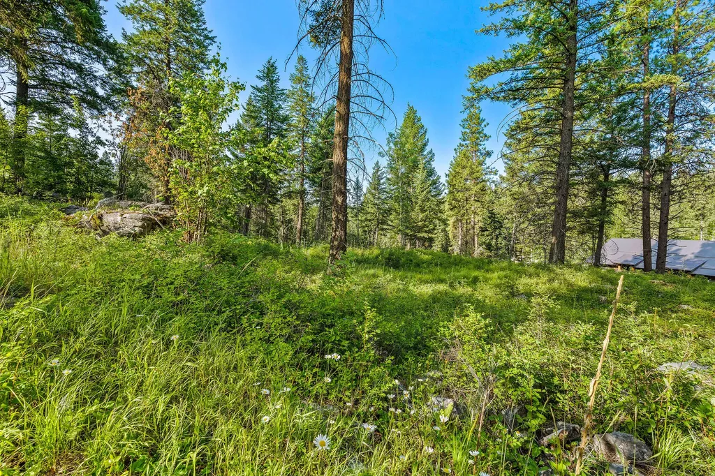 24 Bridle Court Bigfork MT 59911