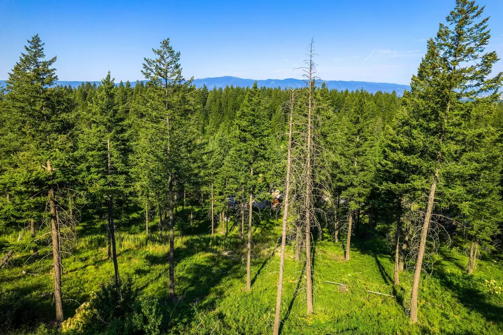 24 Bridle Court Bigfork MT 59911