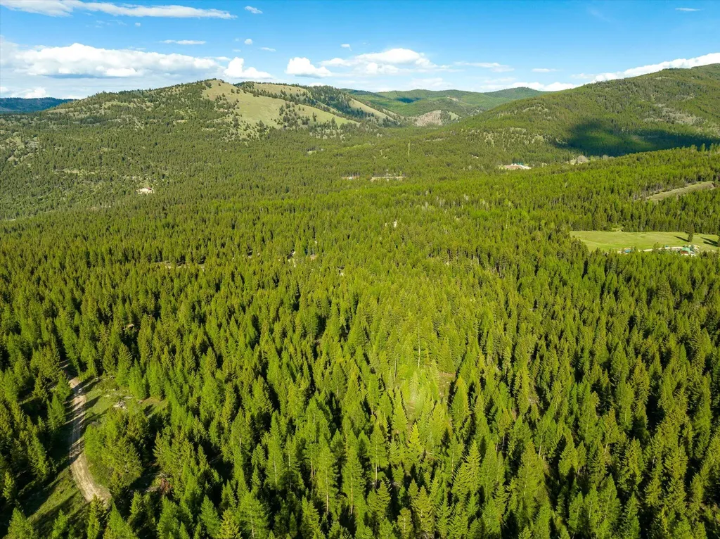 Lot 6a Wild Bill Road Kila MT 59920