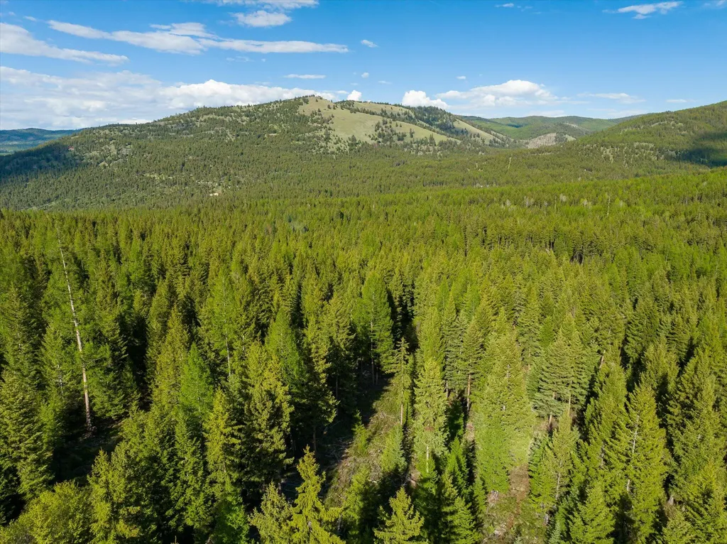 Lot 6a Wild Bill Road Kila MT 59920