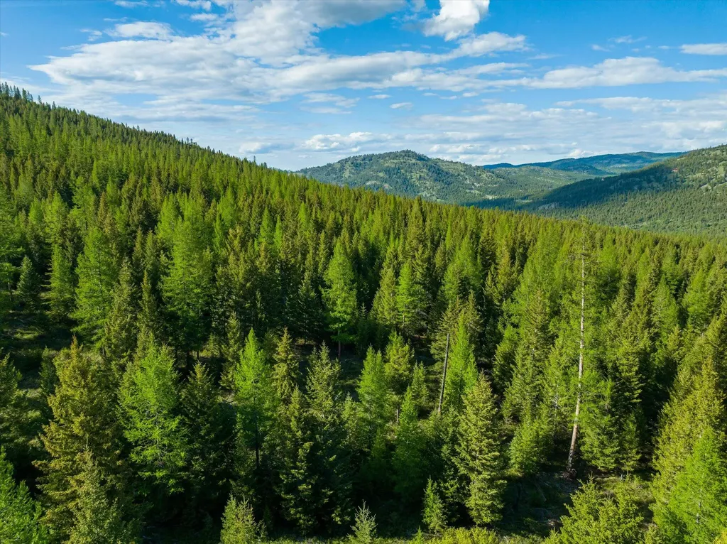 Lot 6a Wild Bill Road Kila MT 59920