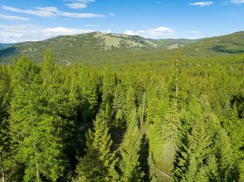 Lot 6a Wild Bill Road Kila MT 59920