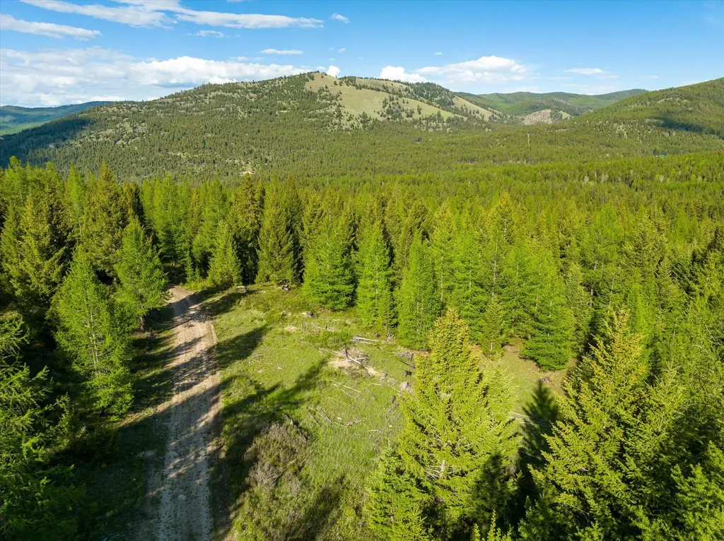 Lot 6a Wild Bill Road Kila MT 59920