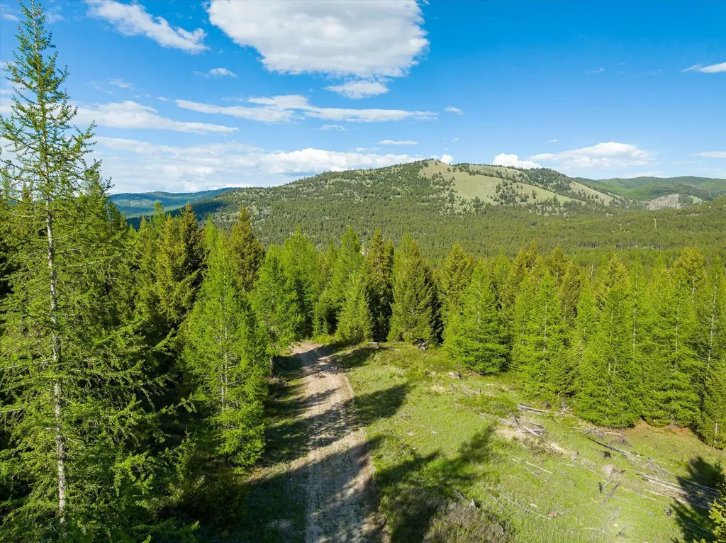 Lot 6a Wild Bill Road Kila MT 59920