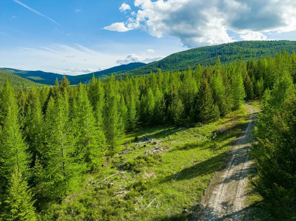 Lot 6a Wild Bill Road Kila MT 59920