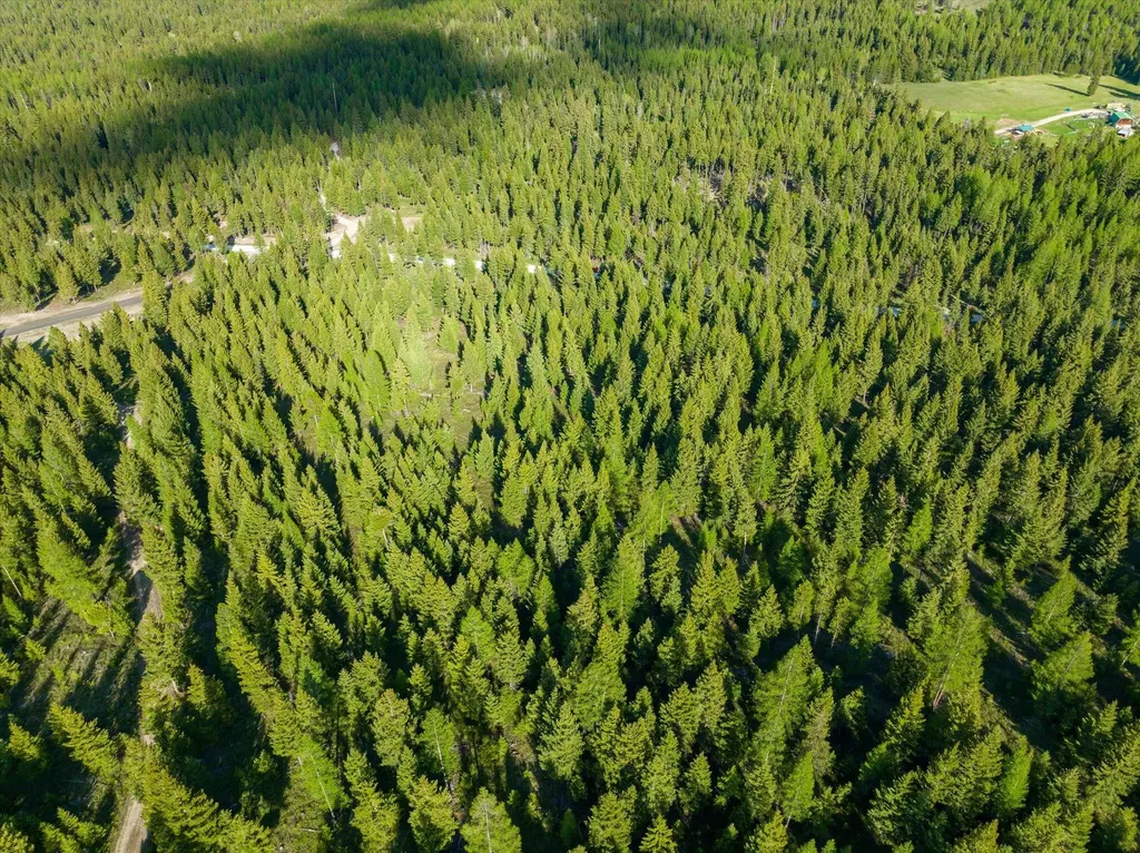 Lot 6a Wild Bill Road Kila MT 59920