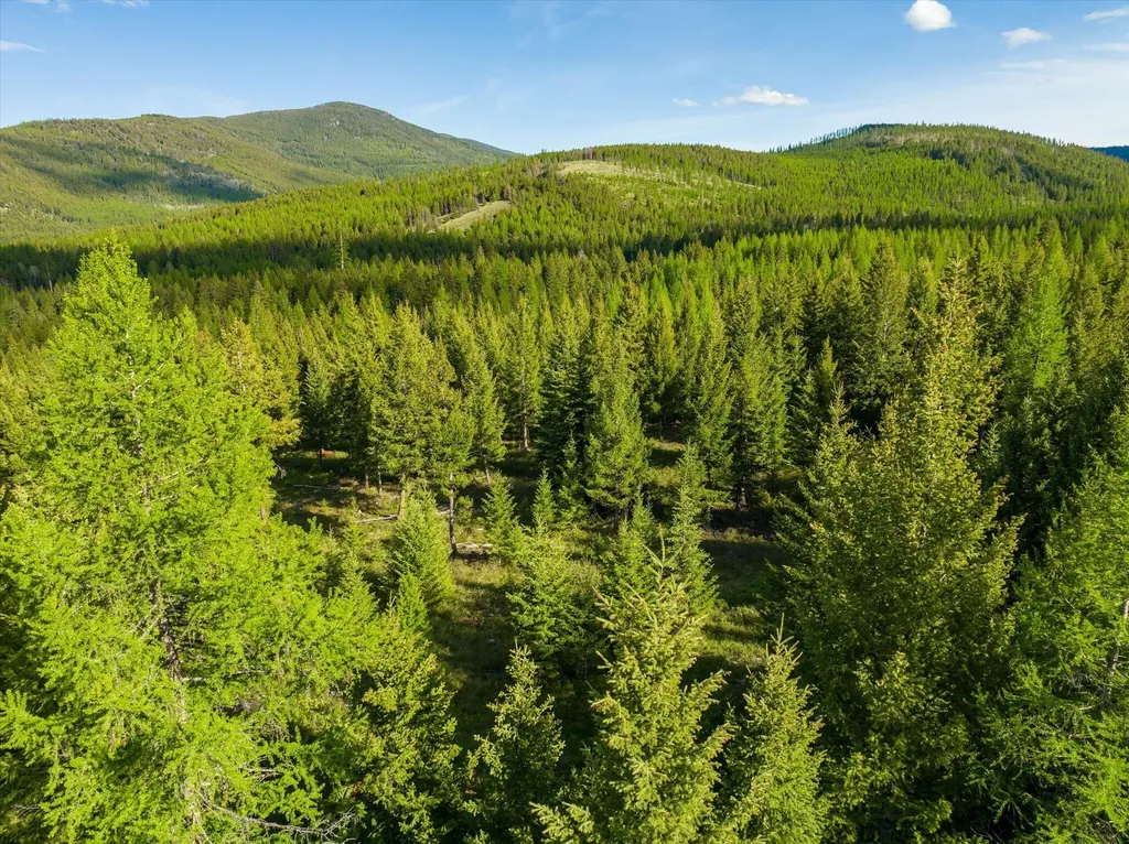 Lot 6a Wild Bill Road Kila MT 59920