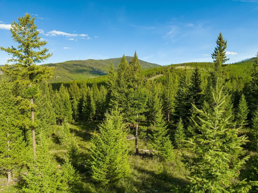 Lot 6a Wild Bill Road Kila MT 59920