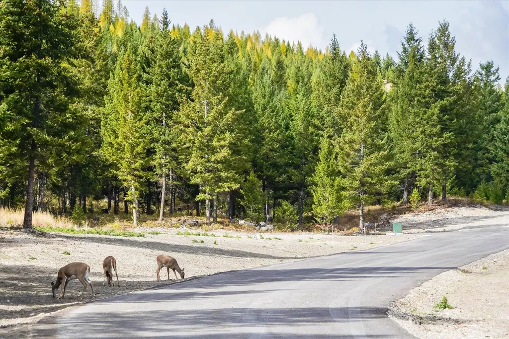 Lot 6a Wild Bill Road Kila MT 59920
