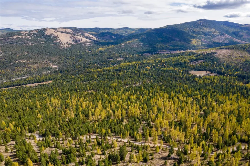Lot 6a Wild Bill Road Kila MT 59920