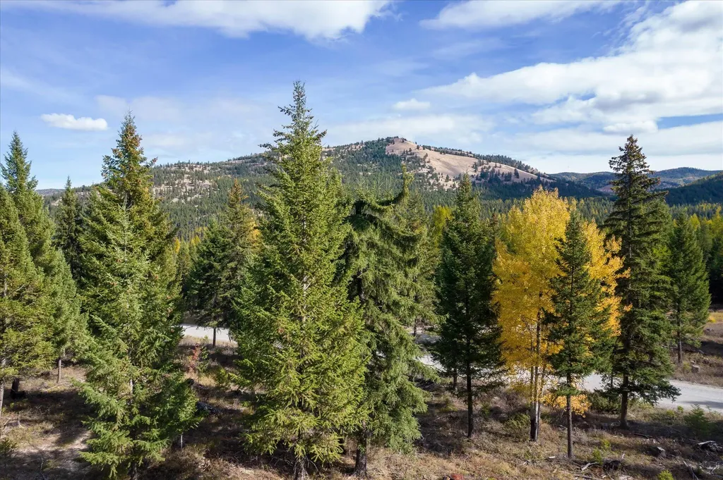Lot 6a Wild Bill Road Kila MT 59920
