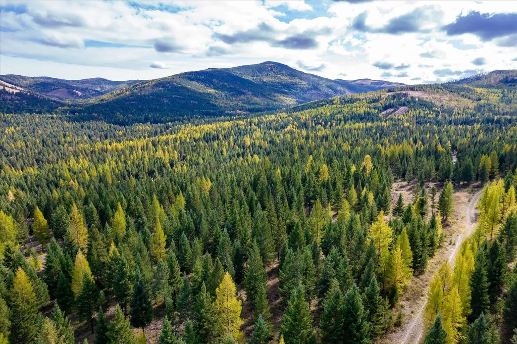 Lot 6a Wild Bill Road Kila MT 59920