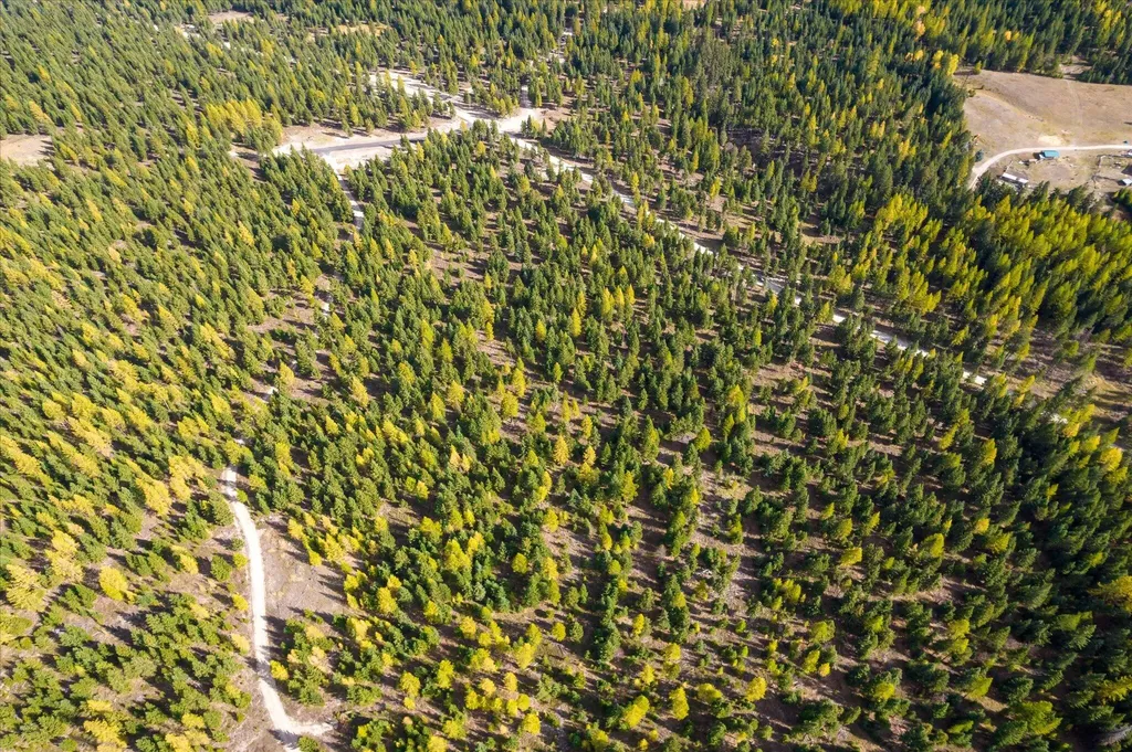 Lot 6a Wild Bill Road Kila MT 59920