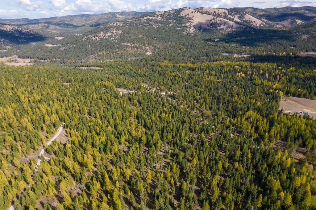 Lot 6a Wild Bill Road Kila MT 59920