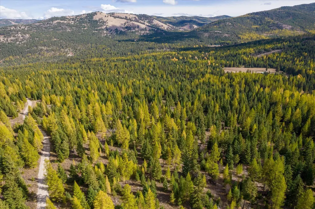Lot 6a Wild Bill Road Kila MT 59920