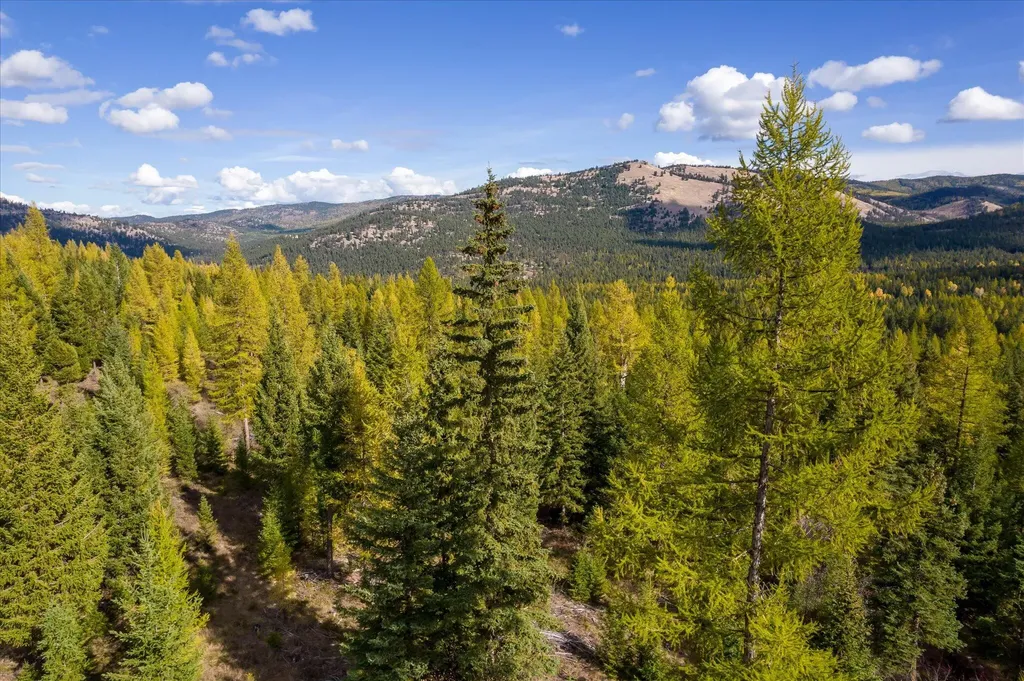 Lot 6a Wild Bill Road Kila MT 59920