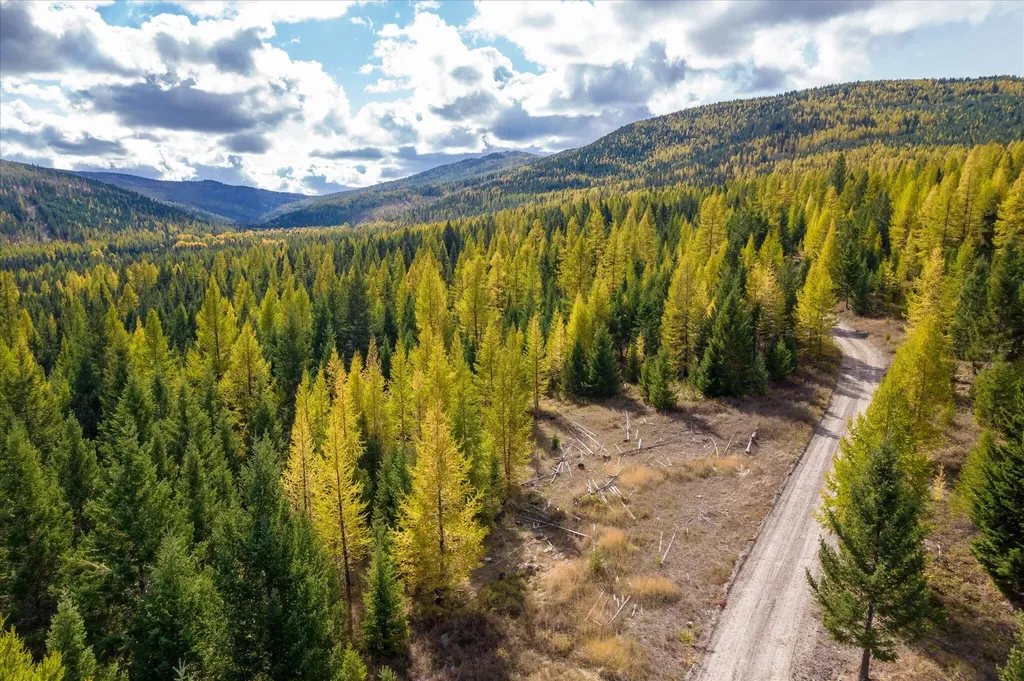 Lot 6a Wild Bill Road Kila MT 59920